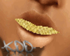 -KDD- Gold Grill