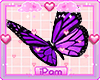 p. purple butterflyes