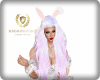 Easter Pink Hair