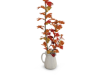 Oak branch Autumnal