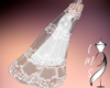 Veil Wedding Elegant