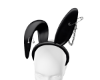 8! Pins ears Black
