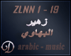 D! Zouhair Bahaoui song