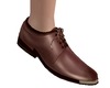 Brown Dress shoe
