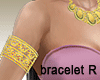 ::Z::Bracelets gold R