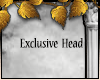 Exclusive Head 01