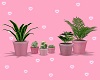 Plant set 💋
