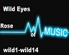 Wild Eyes Remix