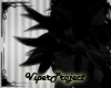 [VP] Black Shoulder M/F