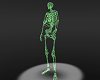 skeleton body [M]