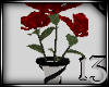 13 Black White Rose Vase