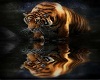 Tiger Print Thrones