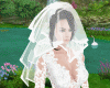 veils wedding