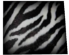 WP~Zebra Rug
