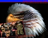 support the troopes nite