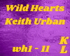 Keith Urban-Wild Hearts