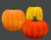 !R! Pumpkins