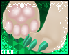 :0: Erin Paws F