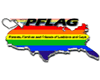 *CC* PFLAG USA T (F)