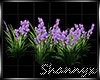 $Bush Flower Purple Anim