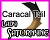 Caracal Tail