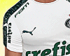 Shirt Palmeiras