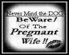 (JT)Beware Pregnant Wife