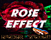 ○Roses Effect