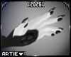 A* Bongo | F Paws