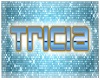 TRICIA bday banner