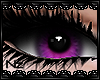 [Nz] Lilac Eyes