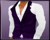 ~T~The West Purple Vest