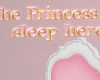 JZ Princess Sleep Here