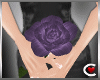 *SC-Purple Rose