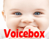 VB) Cute Baby VoiceBox 