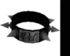 COLLAR PET M
