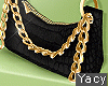 Y | Y2k Bag