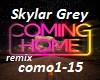 Skylar Grey-Coming home