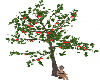 Gig-Apple Tree cuddles