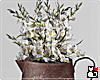 *Vintage Vase Gladiolus