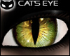 [SIN] Cat'sEye - green