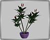 Vase Plant Mesh