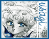 Sailor Moon *Blue Eyes*