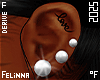 ℉ Pearls + Tats DRV