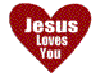 *SV*Jesus Sticker