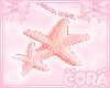 ♡ Starfish ♡