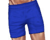 Royal Blue Swim Shorts