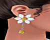 🌹Daisy Jewelry Full