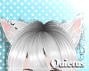 ☽ Kitty Cloud | Q