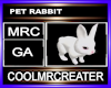 PET RABBIT